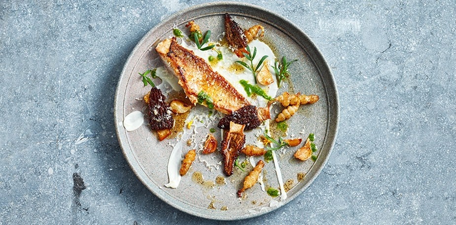 8 Ideias e Estilos Modernos de Empratamento