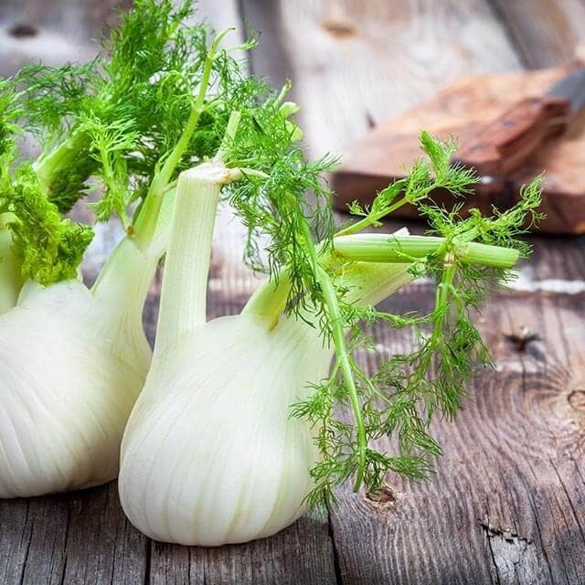 Calendário Sazonal Abril