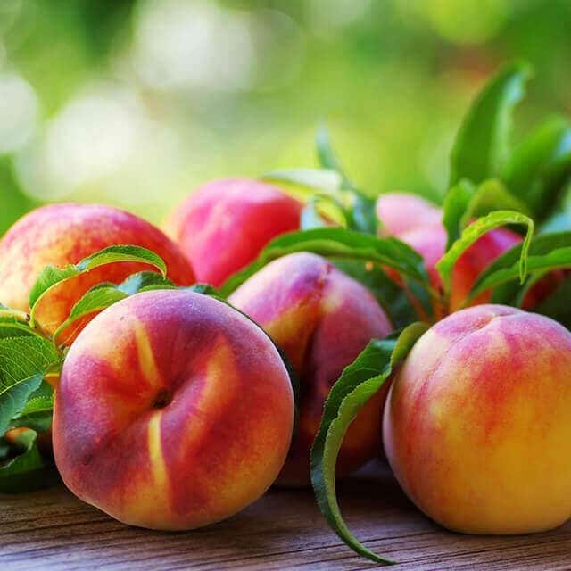 Calendário Sazonal Agosto