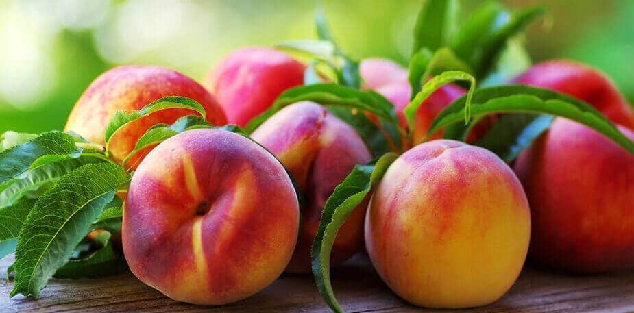 Calendário Sazonal Agosto