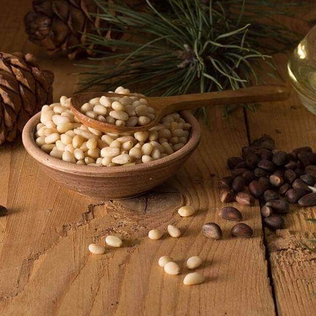 Calendário Sazonal Dezembro