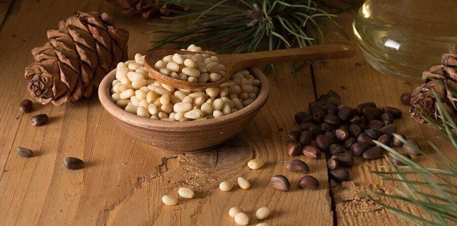 Calendário Sazonal Dezembro