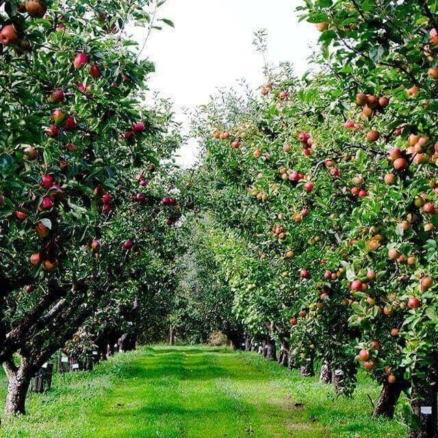 Calendário Sazonal Fevereiro