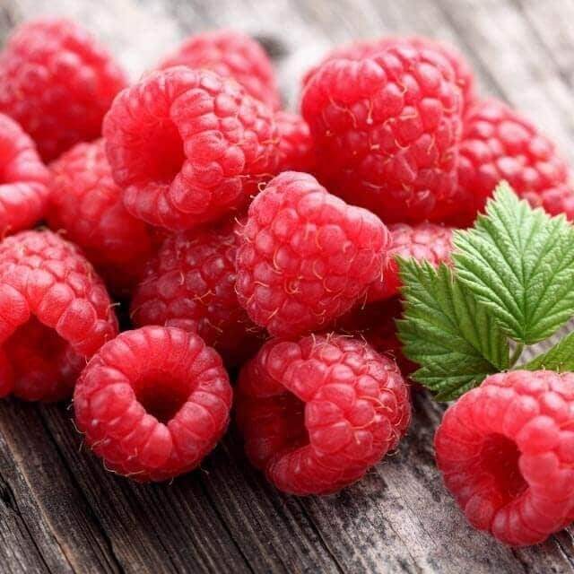 Calendário Sazonal Julho