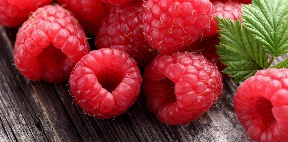 Calendário Sazonal Julho