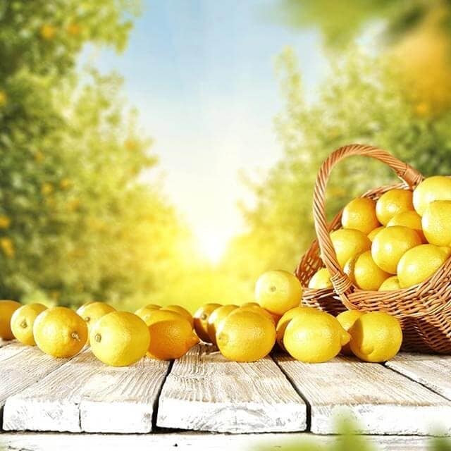 Calendário Sazonal Março