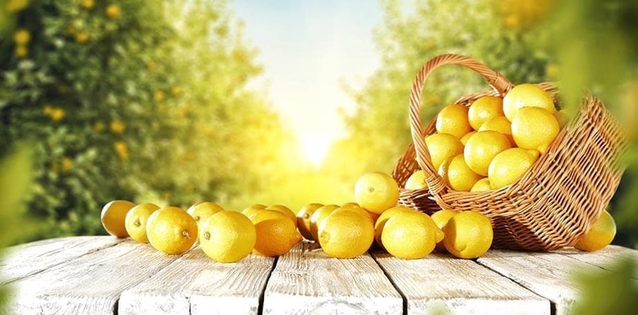 Calendário Sazonal Março