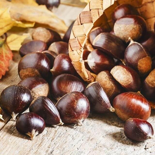 Calendário Sazonal Novembro