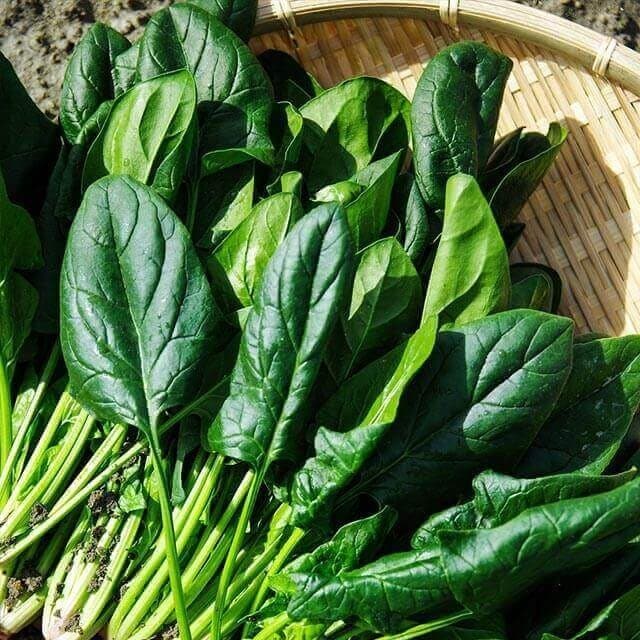 Calendário Sazonal Outubro