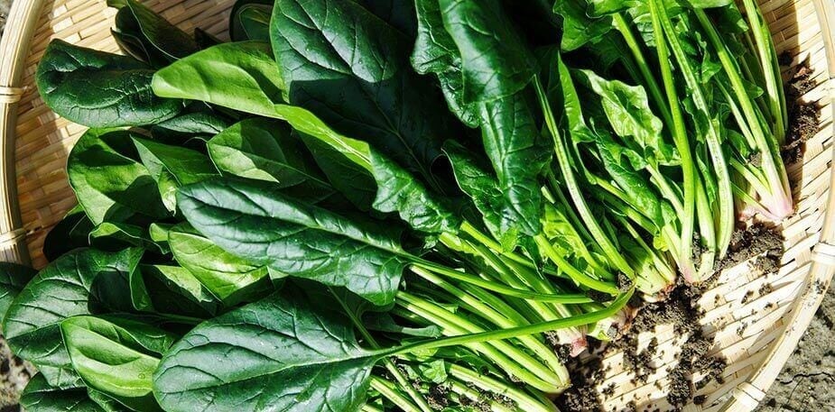 Calendário Sazonal Outubro