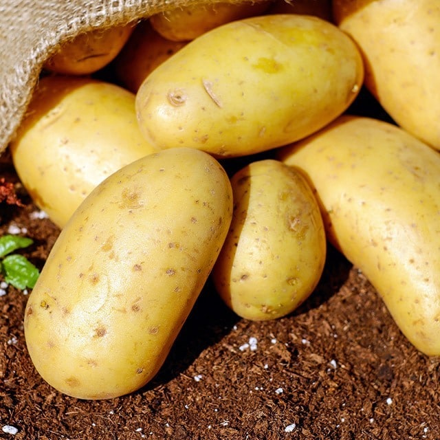 Técnica de Corte de Batatas