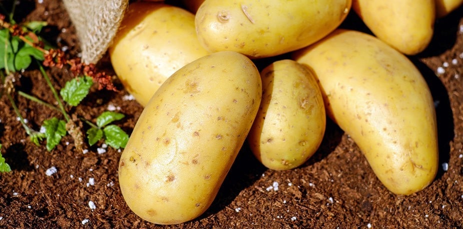 Técnica de Corte de Batatas