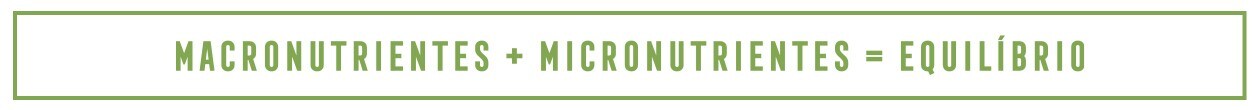 Macronutrientes mais Micronutrientes é igual a Equilíbrio