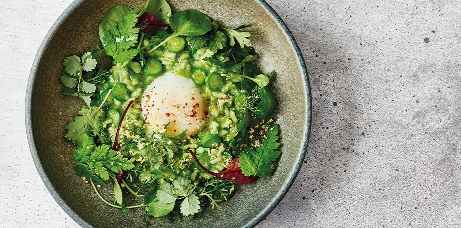 Alimentação Vegetariana Equilibrada