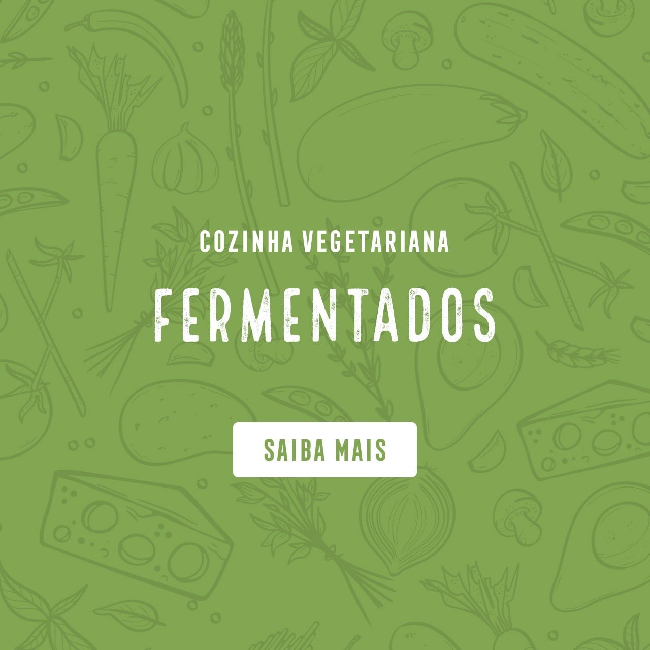 Cozinha Vegetariana descubra os Fermentados
