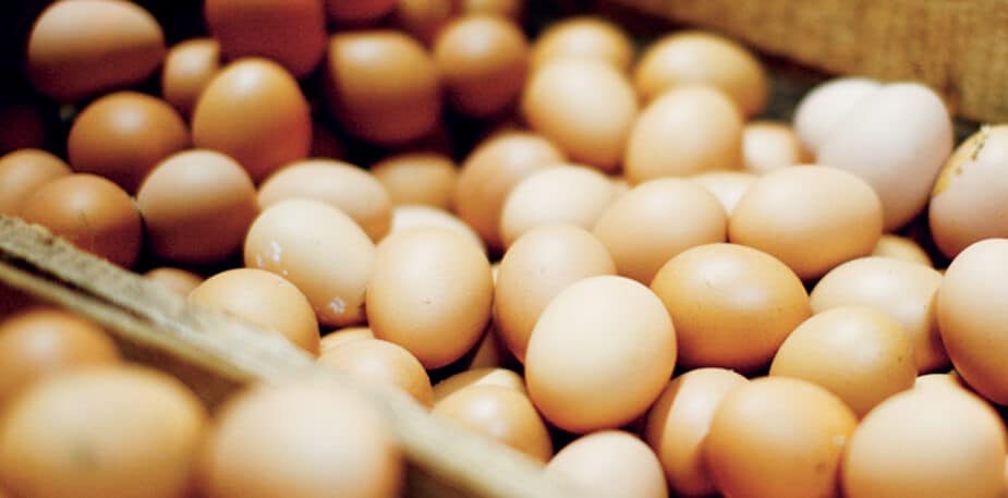 Tópico 4: Custeio de Alimentos