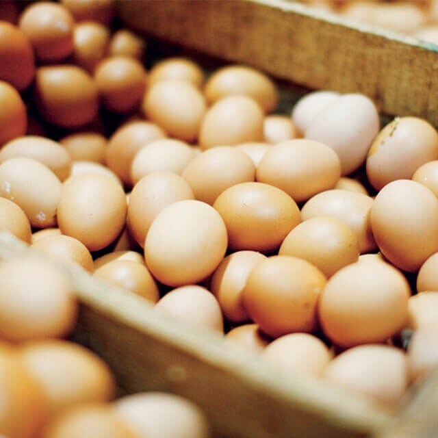 Tópico 4: Custeio de Alimentos