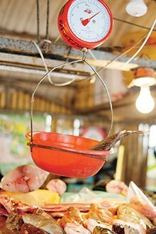 Peixe a ser pesado num mercado