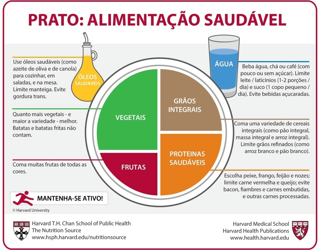 1ª como construir prato alimentação saudável