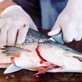 Norma 1: Temperatura no Ato de Entrega