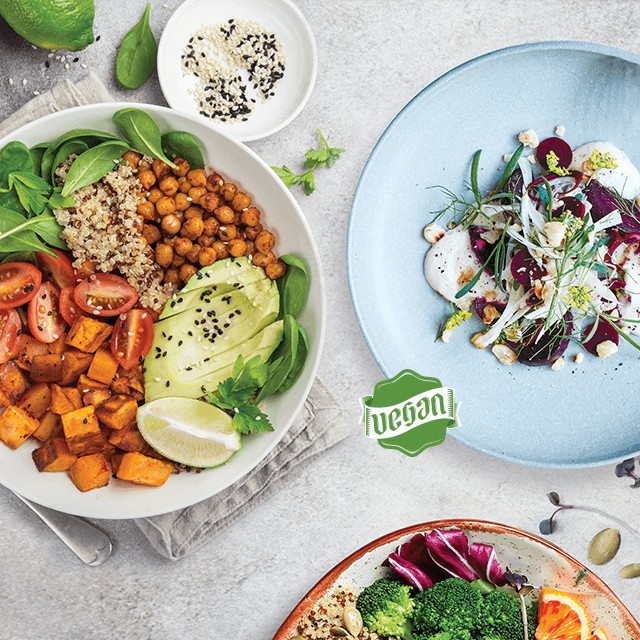 Saiba mais sobre a Cozinha Vegan