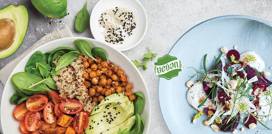 Saiba mais sobre a Cozinha Vegan
