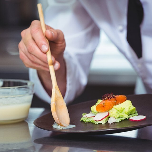 As 5 bases do empratamento