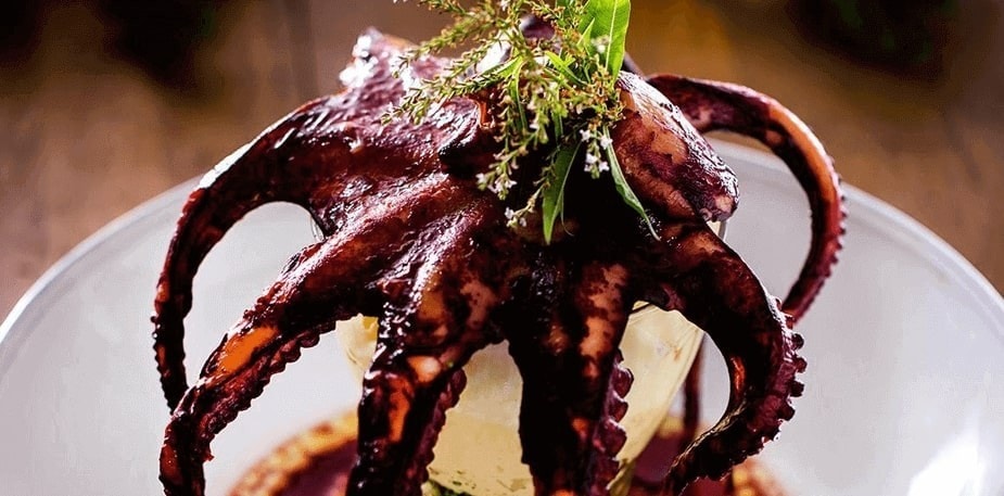 Explore novas sugestões de empratamento