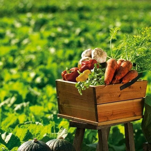 Sustentabilidade dos Ingredientes