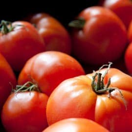 Agricultura Sustentável e Regenerativa: Rigor e Responsabilidade