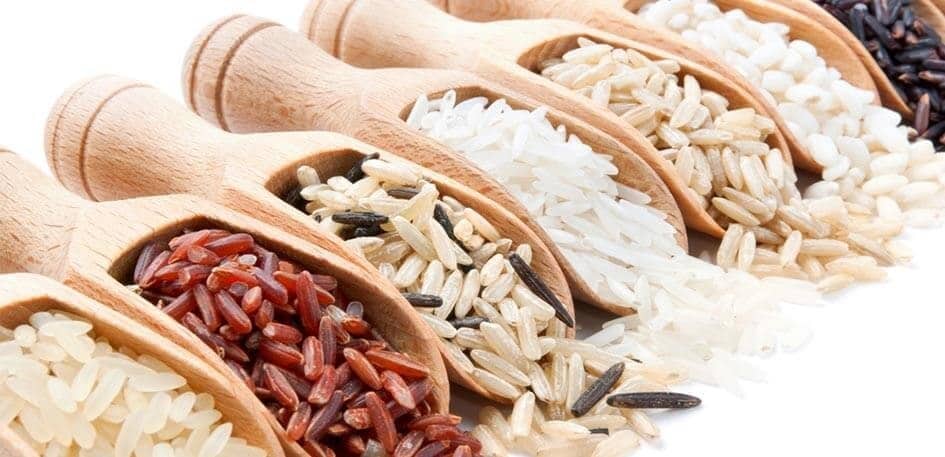 Tipos de Arroz