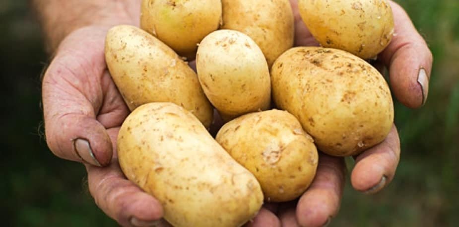Flocos de Batata