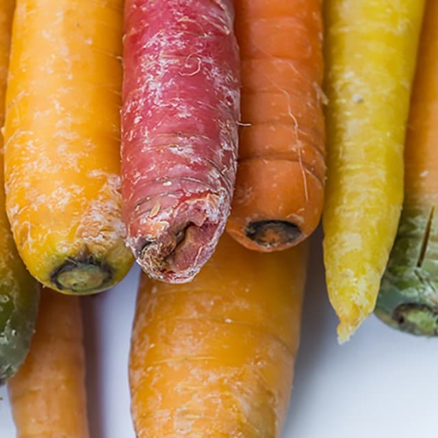 Da Horta para a Mesa