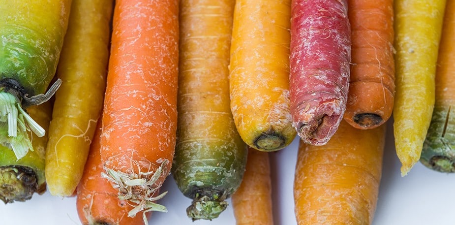 Da Horta para a Mesa