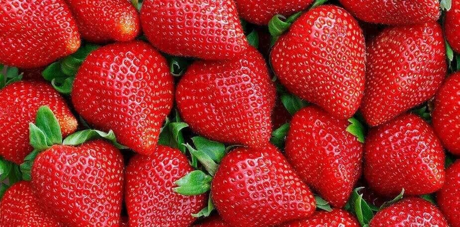 Dê uma nova vida aos morangos